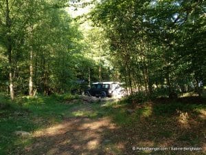 perlenfaenger.com schweden naturreise artenschutz 268