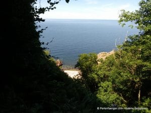 perlenfaenger.com schweden naturreise artenschutz 287