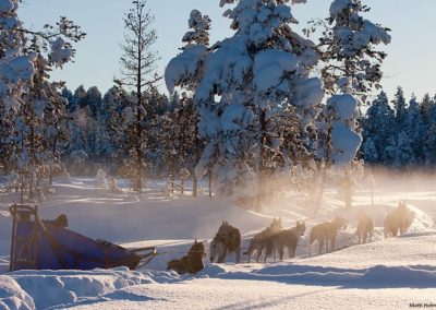 perlenfaenger.com sweden polarlicht elche schweden Matti Holmgren dogsledding 3