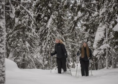 perlenfaenger.com sweden neujahrstour polarlicht 17