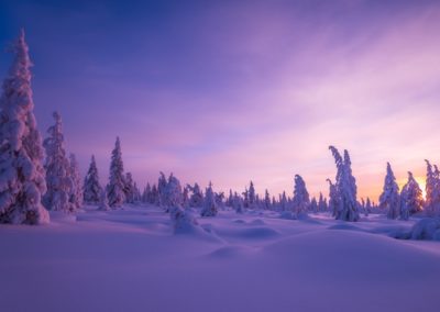 perlenfaenger.com sweden neujahrstour polarlicht Olonkho