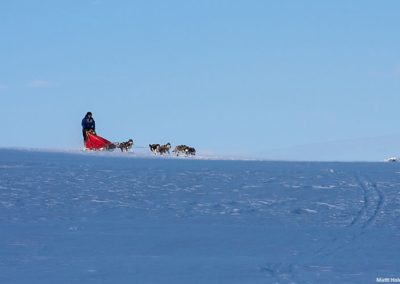 perlenfaenger.com sweden polarlicht elche Matti Holmgren dogsledding