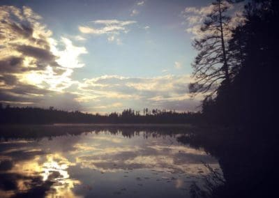 perlenfaenger.com sweden wolf heulen naturtour schweden 12