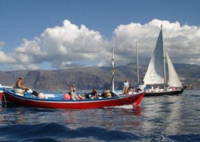 perlenfaenger.com wale delfine oceano gomera intensiv 2