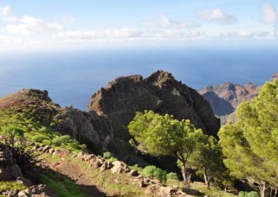 perlenfaenger.com wale delfine oceano gomera intensiv 10