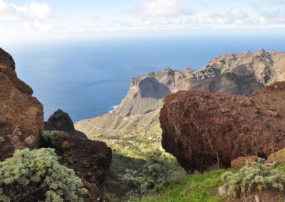 perlenfaenger.com wale delfine oceano gomera intensiv 16