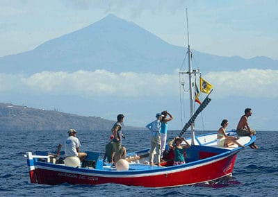 perlenfaenger.com wale delfine oceano gomera intensiv 3