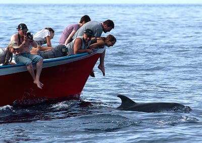 perlenfaenger.com wale delfine oceano gomera intensiv 5