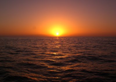 perlenfaenger.com wale delfine oceano gomera intensiv 9