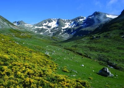 perlenfaenger.com woelfe spanien luis frechilla Bobias