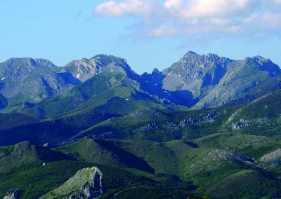 perlenfaenger.com woelfe spanien luis frechilla Mampodre