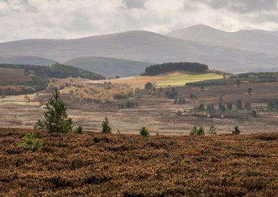 perlenfaenger Cairngorms kueste dan 9