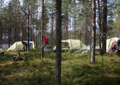 perlenfaenger Hossa national park finnland 20