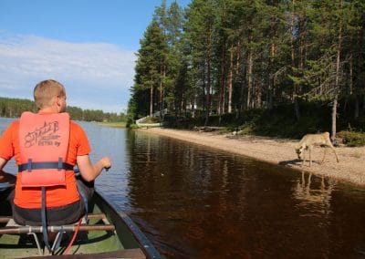 perlenfaenger Hossa national park finnland 22