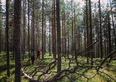 perlenfaenger Hossa national park finnland 26