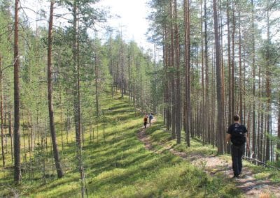 perlenfaenger Hossa national park finnland 9