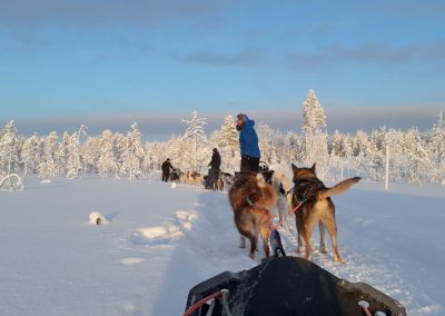 perlenfaenger Hossa national park finnland winter 10