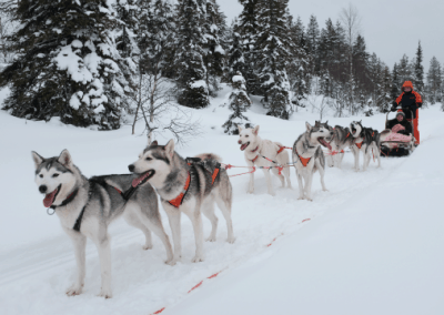 perlenfaenger Hossa national park finnland winter 2
