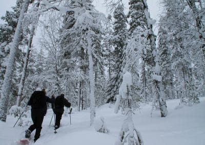 perlenfaenger Hossa national park finnland winter 22