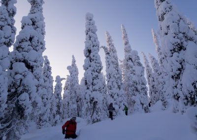 perlenfaenger Hossa national park finnland winter 36