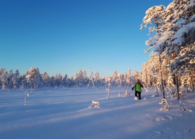 perlenfaenger Hossa national park finnland winter 39