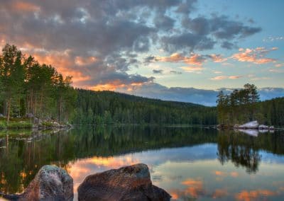 perlenfaenger Moose sweden elche Michiel Correwijn