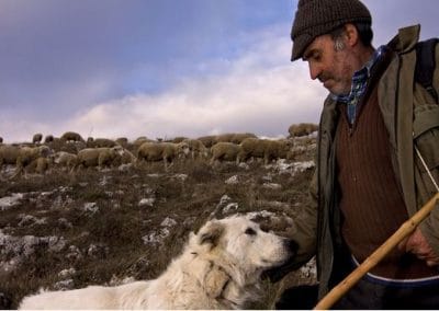 perlenfaenger Umberto italy Schaefer und Woelfe abruzzen