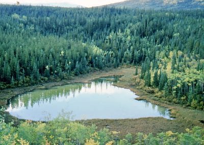 perlenfaenger alaska wildnistrip Sabine Bengtsson See