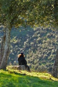 perlenfaenger andalusien iberische luchse puertobajo