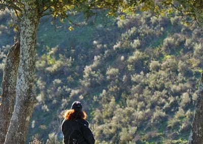 perlenfaenger andalusien iberische luchse puertobajo