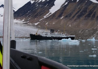 perlenfaenger arktis hurtigruten expedition 19
