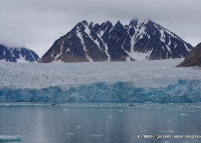 perlenfaenger arktis hurtigruten expedition 3