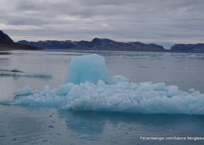 perlenfaenger arktis hurtigruten expedition 9