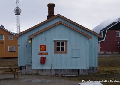 perlenfaenger arktis hurtigruten naturreise 10