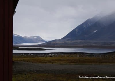 perlenfaenger arktis hurtigruten naturreise 11