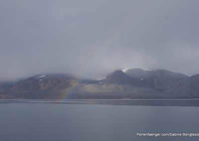 perlenfaenger arktis hurtigruten naturreise 13