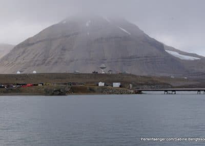 perlenfaenger arktis hurtigruten naturreise 20