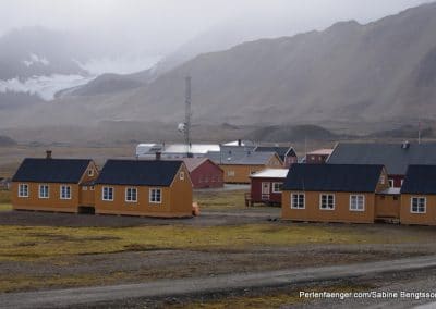 perlenfaenger arktis hurtigruten naturreise 23