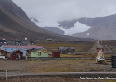 perlenfaenger arktis hurtigruten naturreise 25