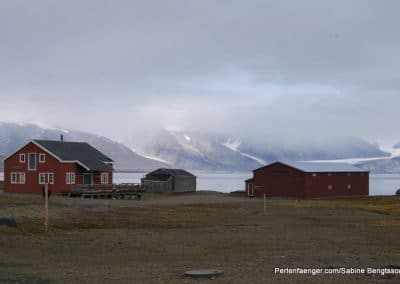 perlenfaenger arktis hurtigruten naturreise 26