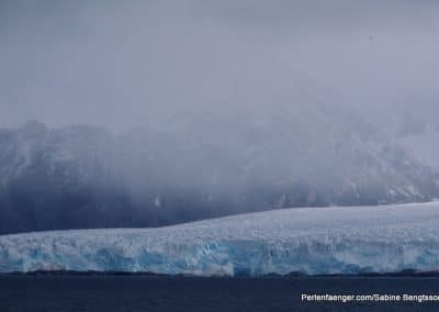 perlenfaenger arktis hurtigruten naturreise 3