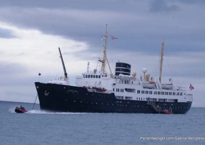 perlenfaenger arktis hurtigruten naturreise 33