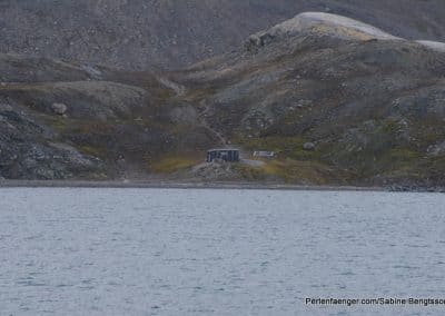 perlenfaenger arktis hurtigruten naturreise 34