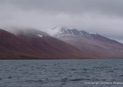 perlenfaenger arktis hurtigruten naturreise 37