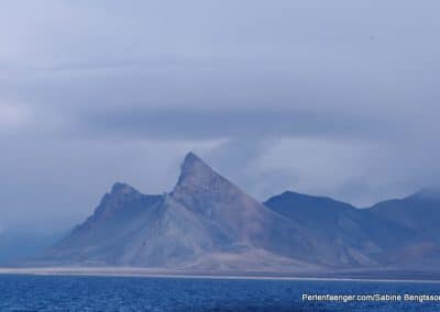 perlenfaenger arktis hurtigruten naturreise 4