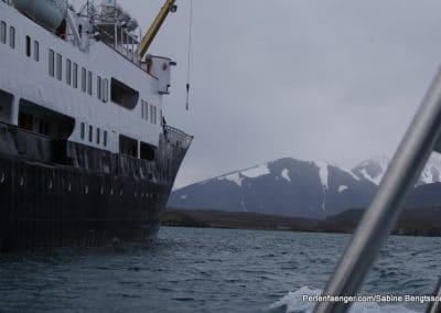 perlenfaenger arktis hurtigruten naturreise 50