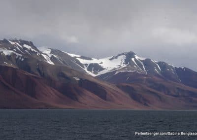 perlenfaenger arktis hurtigruten naturreise 52