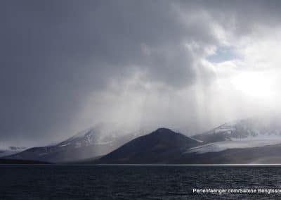 perlenfaenger arktis hurtigruten naturreise 54