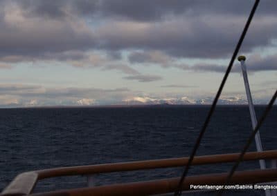 perlenfaenger arktis hurtigruten naturreise 55