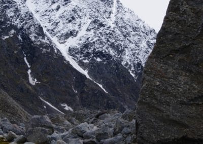 perlenfaenger arktis hurtigruten naturreise 56